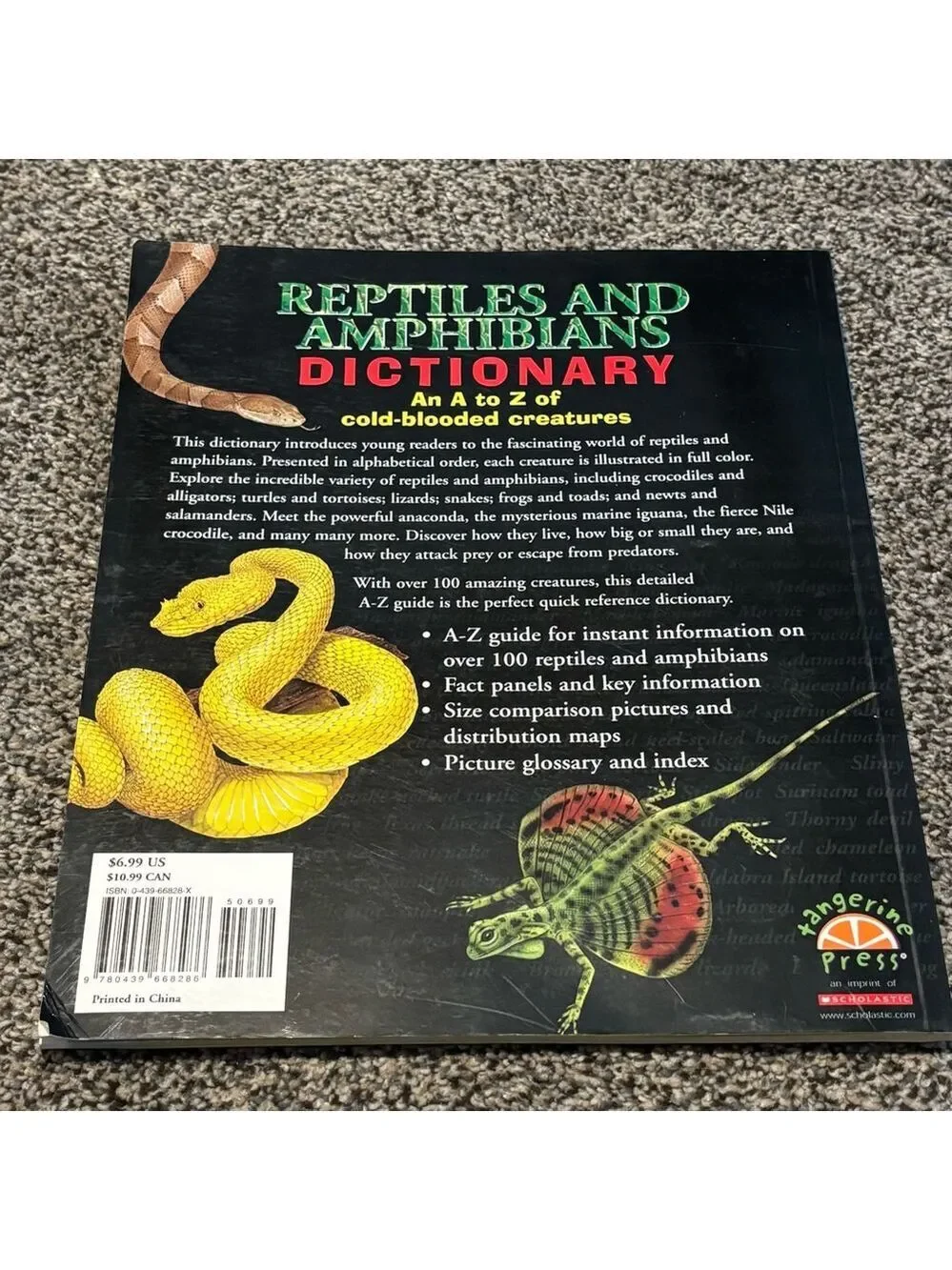 🦎🐍🐢Reptiles and Amphibians Kids Dictionary Book